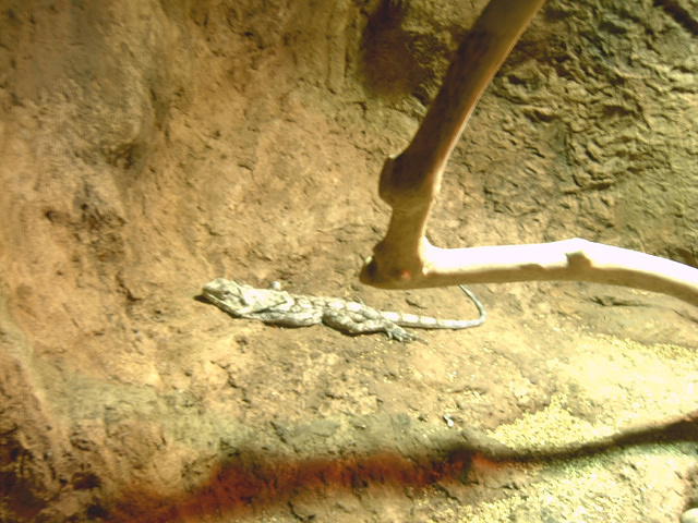 IMAG0102.JPG