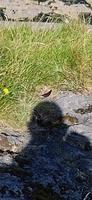 I noticed this shard of glass on the way down.