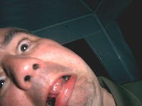 Penguin close-ups can seriously damage your eyesight!