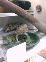 Harry looks up!