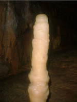 Not what you're thinking, people. This is actually a stalagmite in Kent's Caverns, a special gift for the ladies.