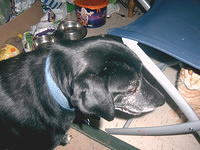 IMAG0102.JPG