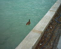 Oakwood Trip 2003