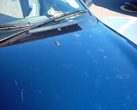 The reason I don't like cleaning the car, bloody cats!