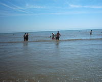 Yes it really was warm enough to swim without a wet suit! ;)
