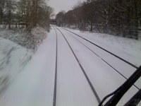 Snow 2010
