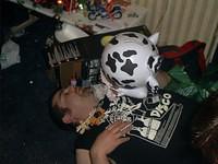 Cow pile on the Ferret!