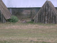 IMAG0007.JPG