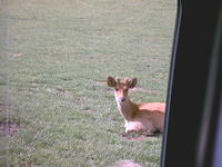 IMAG0016.JPG