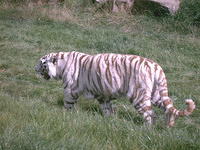 IMAG0018.JPG