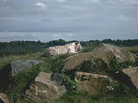 IMAG0020.JPG
