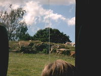 IMAG0023.JPG