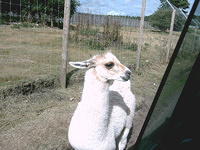 IMAG0025.JPG