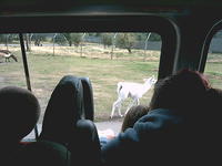 IMAG0026.JPG
