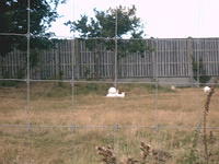 IMAG0028.JPG