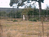 IMAG0029.JPG