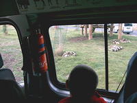 IMAG0031.JPG