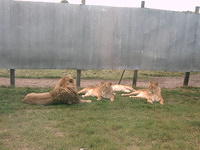 IMAG0036.JPG