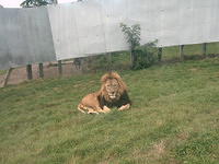 IMAG0037.JPG