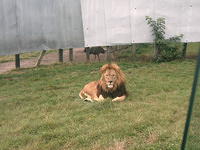 IMAG0038.JPG