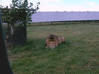 IMAG0039.JPG