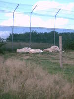 IMAG0040.JPG