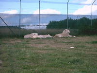 IMAG0041.JPG