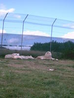 IMAG0042.JPG