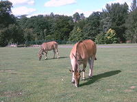 IMAG0048.JPG