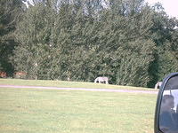 IMAG0049.JPG