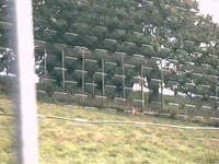 IMAG0062.JPG