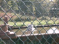 IMAG0065.JPG