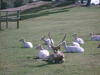 IMAG0067.JPG