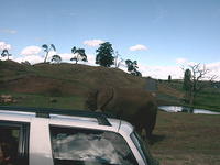 IMAG0074.JPG