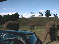 IMAG0076.JPG