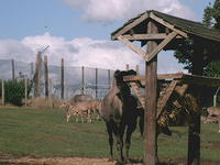 IMAG0080.JPG