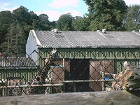 IMAG0094.JPG