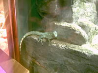 IMAG0101.JPG
