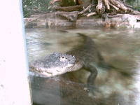 IMAG0104.JPG