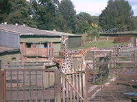 IMAG0093.JPG