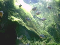 IMAG0100.JPG