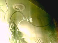 IMAG0105.JPG