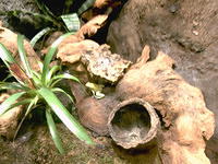 IMAG0106.JPG