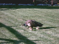IMAG0111.JPG