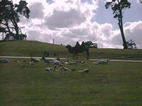 IMAG0068.JPG