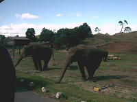 IMAG0075.JPG