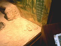 IMAG0108.JPG