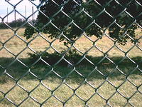 IMAG0061.JPG
