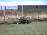 IMAG0079.JPG