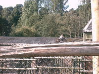 IMAG0095.JPG